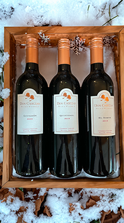 ¡Holiday Red Wine Pack!