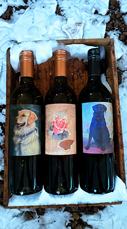 ¡Holiday Variety Pack!