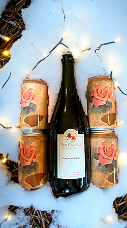 ¡Holiday Sparkle Party Pack!